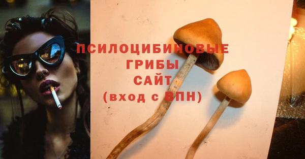 PSILOCYBIN Богданович