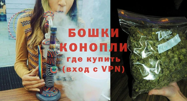 PSILOCYBIN Богданович